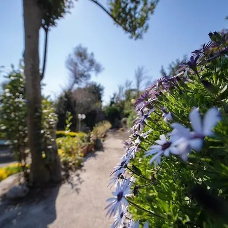 Exclusive Garden 빌라 프로치다