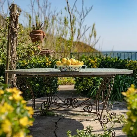 Exclusive Garden